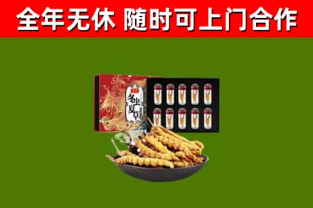 西藏回收冬虫夏草价格
